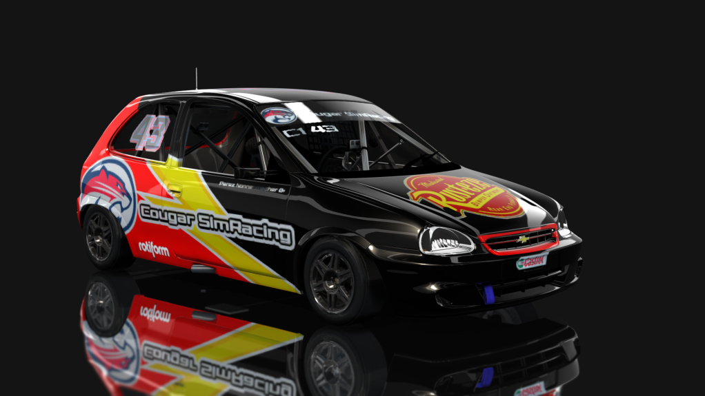 Car Skin