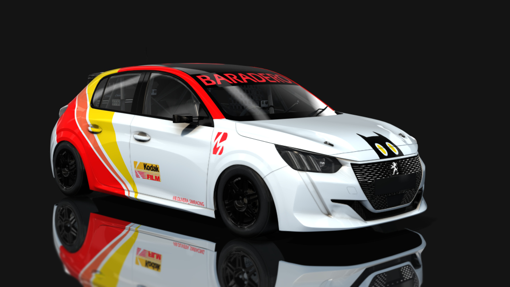 Car Skin