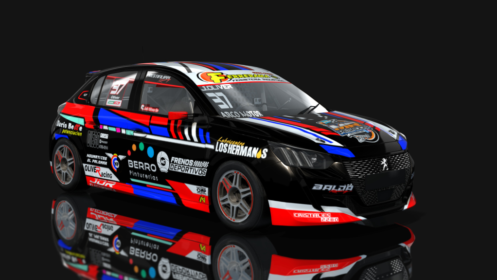 Car Skin