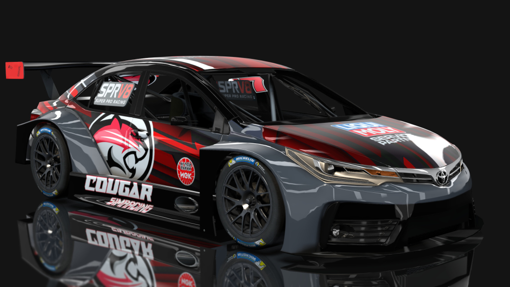 Car Skin